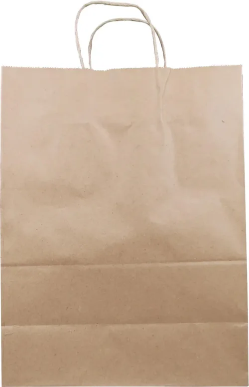 10x5x13 Kraft Paper Bag - Twisted Handle