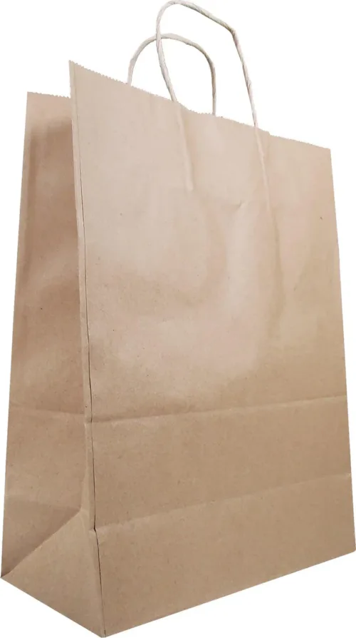 10x5x13 Kraft Paper Bag - Twisted Handle - Image 2