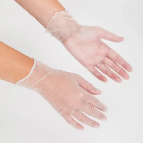 Clear Vinyl Gloves - Extra Large